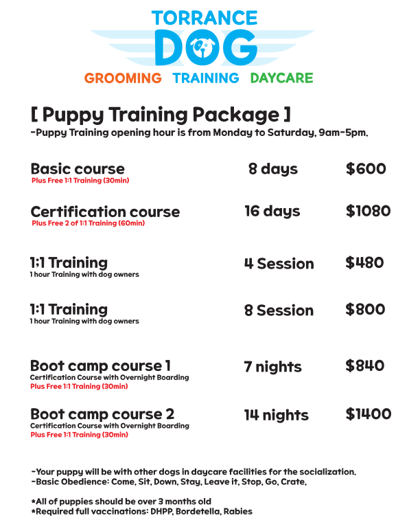 Dog Training Torrance Dog Training, Daycare & Grooming